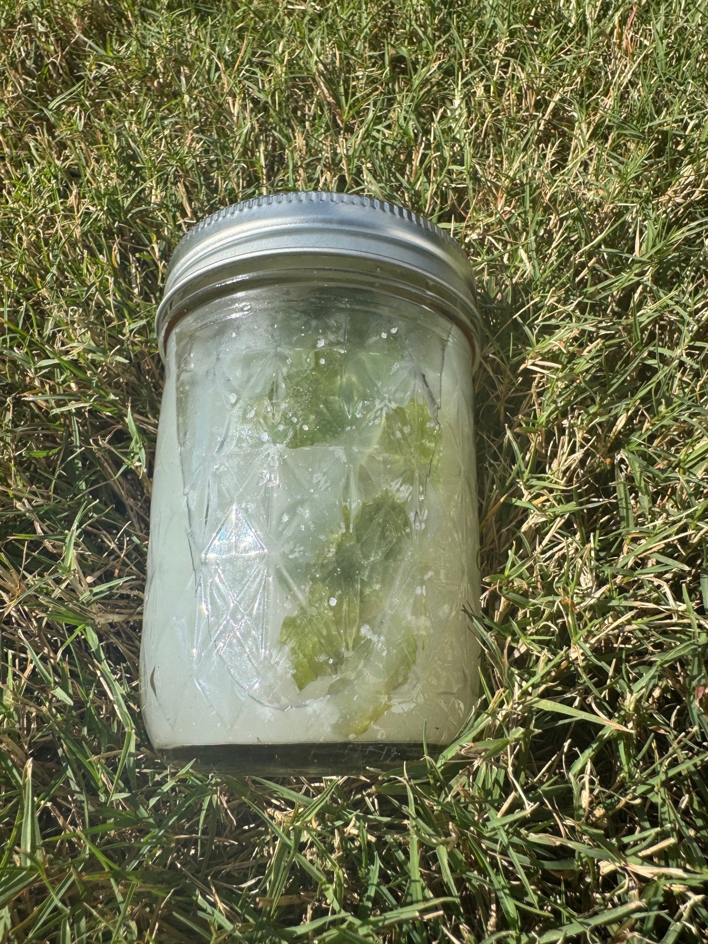 Rice Water